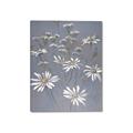 Picture of Daisy Flower _GroupedProduct_Rectangle_Portrait_Canvas_
