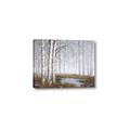 Picture of Foggy Trees _GroupedProduct_Rectangle_Landscape_Canvas_