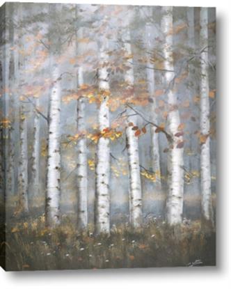 Picture of White Birches In Fall