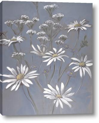 Picture of Daisy Flower