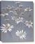 Picture of Daisy Flower