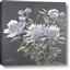 Picture of Summer flower
