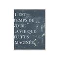 Picture of Il Est Temps De Vivre La Vie IV _GroupedProduct_Rectangle_Portrait_Canvas_Framed_