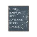 Picture of Il Est Temps De Vivre La Vie IV _GroupedProduct_Rectangle_Portrait_Canvas_Framed_