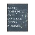 Picture of Il Est Temps De Vivre La Vie IV _GroupedProduct_Rectangle_Portrait_Canvas_Framed_