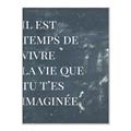 Picture of Il Est Temps De Vivre La Vie IV _GroupedProduct_Rectangle_Portrait_Canvas_Framed_