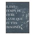 Picture of Il Est Temps De Vivre La Vie IV _GroupedProduct_Rectangle_Portrait_Canvas_Framed_