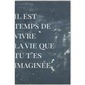 Picture of Il Est Temps De Vivre La Vie IV _GroupedProduct_Rectangle_Portrait_Canvas_Framed_