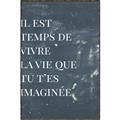 Picture of Il Est Temps De Vivre La Vie IV _GroupedProduct_Rectangle_Portrait_Canvas_Framed_