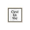 Picture of Cest La Vie III _GroupedProduct_Square_Canvas_Framed_