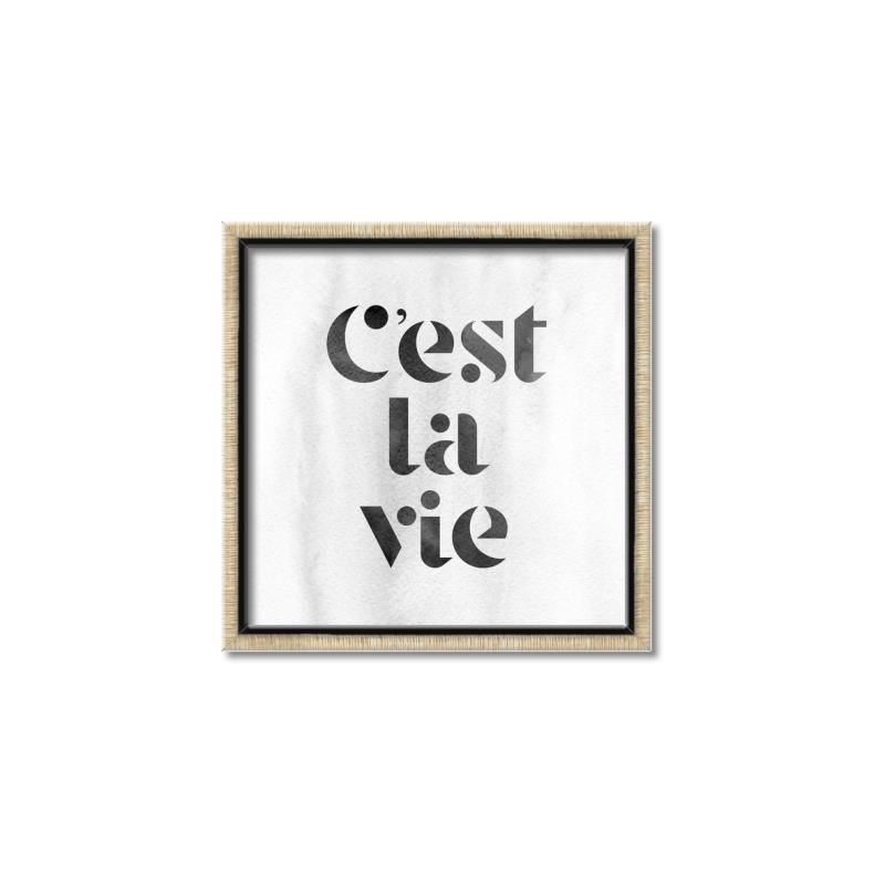 Picture of Cest La Vie III _GroupedProduct_Square_Canvas_Framed_