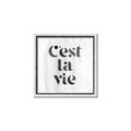 Picture of Cest La Vie III _GroupedProduct_Square_Canvas_Framed_