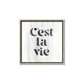 Picture of Cest La Vie III _GroupedProduct_Square_Canvas_Framed_