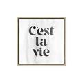 Picture of Cest La Vie III _GroupedProduct_Square_Canvas_Framed_