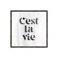 Picture of Cest La Vie III _GroupedProduct_Square_Canvas_Framed_