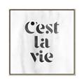 Picture of Cest La Vie III _GroupedProduct_Square_Canvas_Framed_