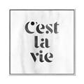 Picture of Cest La Vie III _GroupedProduct_Square_Canvas_Framed_