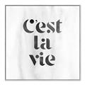 Picture of Cest La Vie III _GroupedProduct_Square_Canvas_Framed_
