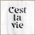 Picture of Cest La Vie III _GroupedProduct_Square_Canvas_Framed_
