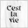 Picture of Cest La Vie III _GroupedProduct_Square_Canvas_Framed_
