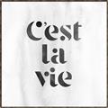 Picture of Cest La Vie III _GroupedProduct_Square_Canvas_Framed_