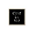 Picture of Cest La Vie IV _GroupedProduct_Square_Canvas_Framed_