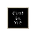 Picture of Cest La Vie IV _GroupedProduct_Square_Canvas_Framed_