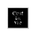 Picture of Cest La Vie IV _GroupedProduct_Square_Canvas_Framed_
