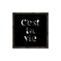 Picture of Cest La Vie IV _GroupedProduct_Square_Canvas_Framed_