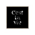 Picture of Cest La Vie IV _GroupedProduct_Square_Canvas_Framed_