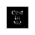 Picture of Cest La Vie IV _GroupedProduct_Square_Canvas_Framed_
