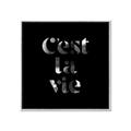 Picture of Cest La Vie IV _GroupedProduct_Square_Canvas_Framed_