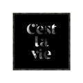 Picture of Cest La Vie IV _GroupedProduct_Square_Canvas_Framed_