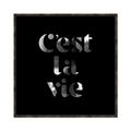Picture of Cest La Vie IV _GroupedProduct_Square_Canvas_Framed_
