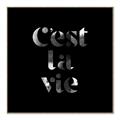Picture of Cest La Vie IV _GroupedProduct_Square_Canvas_Framed_