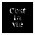 Picture of Cest La Vie IV _GroupedProduct_Square_Canvas_Framed_
