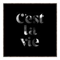 Picture of Cest La Vie IV _GroupedProduct_Square_Canvas_Framed_