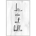 Picture of La Vie Est Belle _GroupedProduct_Rectangle_Portrait_Canvas_Framed_
