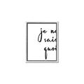 Picture of Je Ne Sais Quoi II _GroupedProduct_Rectangle_Portrait_Canvas_Framed_