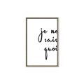 Picture of Je Ne Sais Quoi II _GroupedProduct_Rectangle_Portrait_Canvas_Framed_