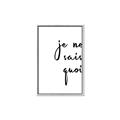 Picture of Je Ne Sais Quoi II _GroupedProduct_Rectangle_Portrait_Canvas_Framed_