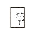 Picture of Je Ne Sais Quoi II _GroupedProduct_Rectangle_Portrait_Canvas_Framed_