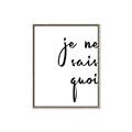 Picture of Je Ne Sais Quoi II _GroupedProduct_Rectangle_Portrait_Canvas_Framed_