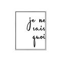 Picture of Je Ne Sais Quoi II _GroupedProduct_Rectangle_Portrait_Canvas_Framed_