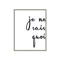 Picture of Je Ne Sais Quoi II _GroupedProduct_Rectangle_Portrait_Canvas_Framed_