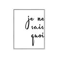 Picture of Je Ne Sais Quoi II _GroupedProduct_Rectangle_Portrait_Canvas_Framed_
