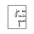 Picture of Je Ne Sais Quoi II _GroupedProduct_Rectangle_Portrait_Canvas_Framed_