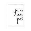 Picture of Je Ne Sais Quoi II _GroupedProduct_Rectangle_Portrait_Canvas_Framed_