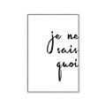 Picture of Je Ne Sais Quoi II _GroupedProduct_Rectangle_Portrait_Canvas_Framed_