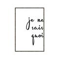 Picture of Je Ne Sais Quoi II _GroupedProduct_Rectangle_Portrait_Canvas_Framed_